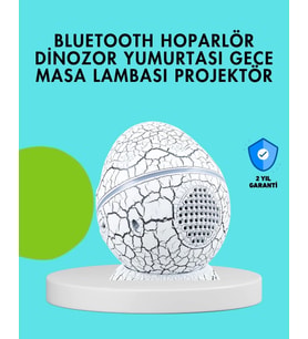Dinozor Yumurtası Tasarımlı Gece Lambası – Müzik Ve Işık Senkronizasyonlu (Çok Renkli)