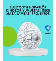 Dinozor Yumurtası Tasarımlı Gece Lambası – Müzik Ve Işık Senkronizasyonlu (Çok Renkli)