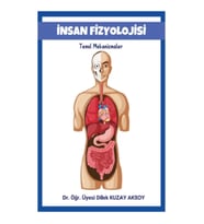İnsan Fizyoolojisi