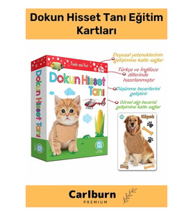 Özel Üretim Duyusal Gelişim Görsel Algı Eğlenceli Öğrenme Çocuk Dokun Hisset Tanı Eğitim Kartları