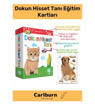 Özel Üretim Duyusal Gelişim Görsel Algı Eğlenceli Öğrenme Çocuk Dokun Hisset Tanı Eğitim Kartları