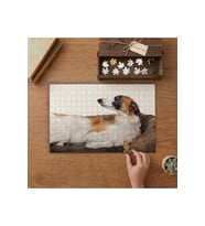 Yatan Rus Borzoy Cinsi Köpek Tasarımı 240 parça Ahşap Puzzle Ahşap Kutuda MP01095