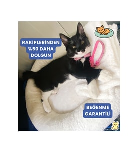 Yumuşak Peluş Wellsoft Kedi ve Köpek Yatağı, Rahat Uyku için Tasarlandı