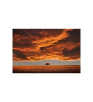 Yalnız Ağaç Ve Sonbahar Sticker(çerçeveli) 40x50 Sayılarla Boyama Hobi Seti