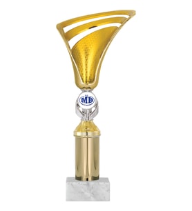ODAK KUPA - Genel Kupalar - GN-024 A - 31 cm