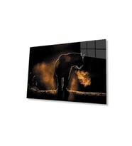 Aslan Cam Tablo 4mm Dayanıklı Temperli Cam (Çok Renkli)