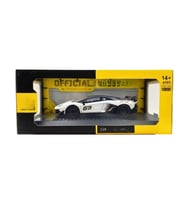 1/24 Model Araba
