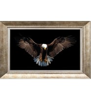 GÜMÜŞ ÇERÇEVELİ TABLO N831