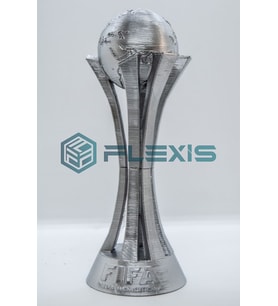 FLEXIS WE MAKE IT POSSIBLE FOR YOU KULÜPLER DÜNYA KUPASI 15 CM HEDİYELİK ÖDÜL KUPASI