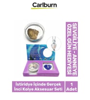 Özel Üretim Doğum Günü Sevgiliye Hediye Kutulu Şık İstiridye İçinde Gerçek İnci Kolye Aksesuar Seti (Çok Renkli)