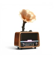 Nostaljik Gramafon Radyo,Bluetooth Trend Tasarım Nostalji Radyo
