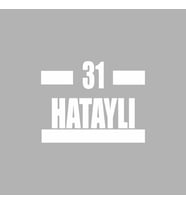 31 Hataylı Araba Sticker siyah 16x9 CM (Beyaz)
