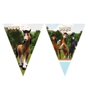 DORU AT FLAMA PK:1 SET-