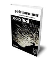Çöle İnen Nur (Hatıra Baskısı)
