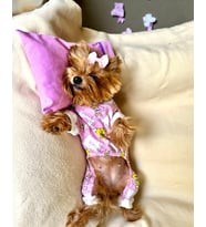 Toad Teddy Penye Tulum Yastık Takım Uyku Set Köpek Tulum Elbise (Pembe)