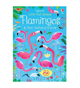 How Does It Work?: Lift-The-Flap Q&A Usborne Publishing