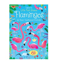 How Does It Work?: Lift-The-Flap Q&A Usborne Publishing