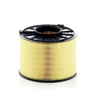 MANN C170121 Hava Filtresi 8W0133843B 8W0133843E