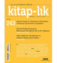 -lık 243 Ulysses’i Anlamak