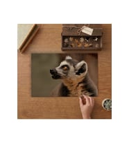 Şaşkın Lemur Tasarımı 240 parça Ahşap Puzzle Ahşap Kutuda MP05438