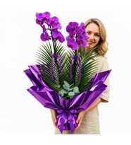 MOR BUKETTE JUMBO MOR ORKİDE TASARIM