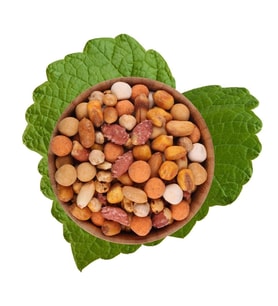 Kına Çerezi 500 g (STD)