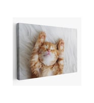 Yavru Kedi Dekoratif Kanvas Tablo 1125