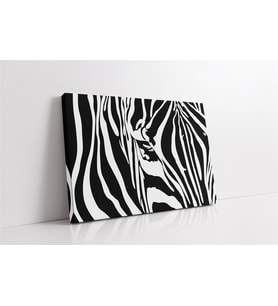 Yakın Çekim Zebra Kanvas Tablo