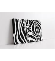 Yakın Çekim Zebra Kanvas Tablo