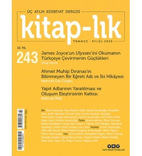 -lık 243 Ulysses’i Anlamak