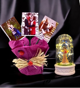 Size Özel 3 Fotoğraflı FUŞYA Saksı ve Led Işıklı Şans Melekli Fanus Seti