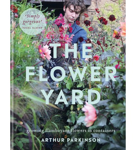The Flower Yard: Growing Flamboyant Flowers In Containers: Growing Flamboyant Flowers In Containers  (Krem)