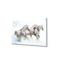 Miyrem Glasses Collection -A1^#  Beyaz Atlar Hayvanlar Cam TabloCam Tablo (Çok Renkli)