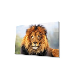 Aslan Cam Tablo 4mm Dayanıklı Temperli Cam (Çok Renkli)