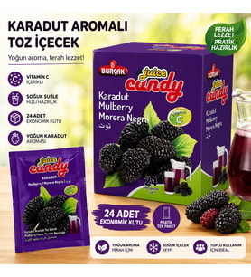 24’Lü Karadut Aromalı Toz İçecek C İçerikli Pratik Tek Kullanımlık Soğuk İçecek Tozu