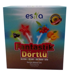 Fantastik Dörtlü sel Yaz Çayı 45 Süzen Poşet