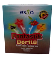 Fantastik Dörtlü sel Yaz Çayı 45 Süzen Poşet
