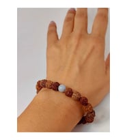 Angelit Taşlı Rudraksha Tohum Unisex Bileklik 8mm