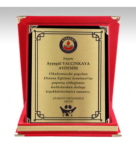 Küçük Boy Kadife Albüm Plaket 14x16 cm Ödül Ürünü Kişiye Özel (Kırmızı)