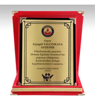 Küçük Boy Kadife Albüm Plaket 14x16 cm Ödül Ürünü Kişiye Özel (Kırmızı)