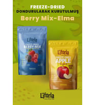 2’li Dondurularak Kurutulmuş Kuru Meyve - Sağlıklı Atıştırmalık - Berry Mix Ve Elma Kurusu Freeze Dried