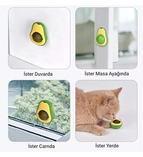 Avokado Kedi Nanesi Kedi Otu Topu Kedi Oyuncağı Yapışkanlı Catnip