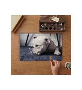 Bulldog Köpek Tasarımı 240 parça Ahşap Puzzle Ahşap Kutuda MP04282