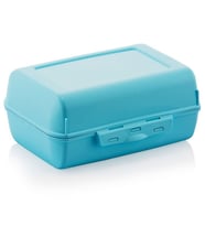 Beslenme Kabı, Lunch Box, Kilitli Beslenme Kutusu (mint)