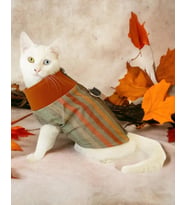 Stripe Orange Su itici Kedi Yağmurluğu 