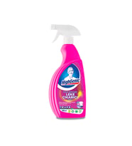 Highgenic Leke Çıkarıcı Sprey 1000 Ml