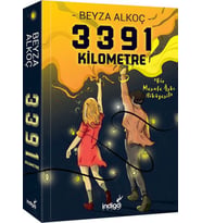 3391 Km (Ciltli)