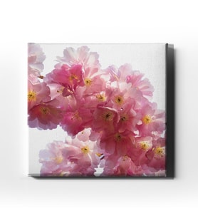 Sakura Kanvas Tablo ÇÇK106