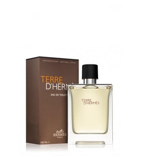 Hermes Terre D'Hermes Erkek Parfüm EDT 100 ML