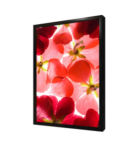 Çiçek Çerçeveli Mdf Tablo
